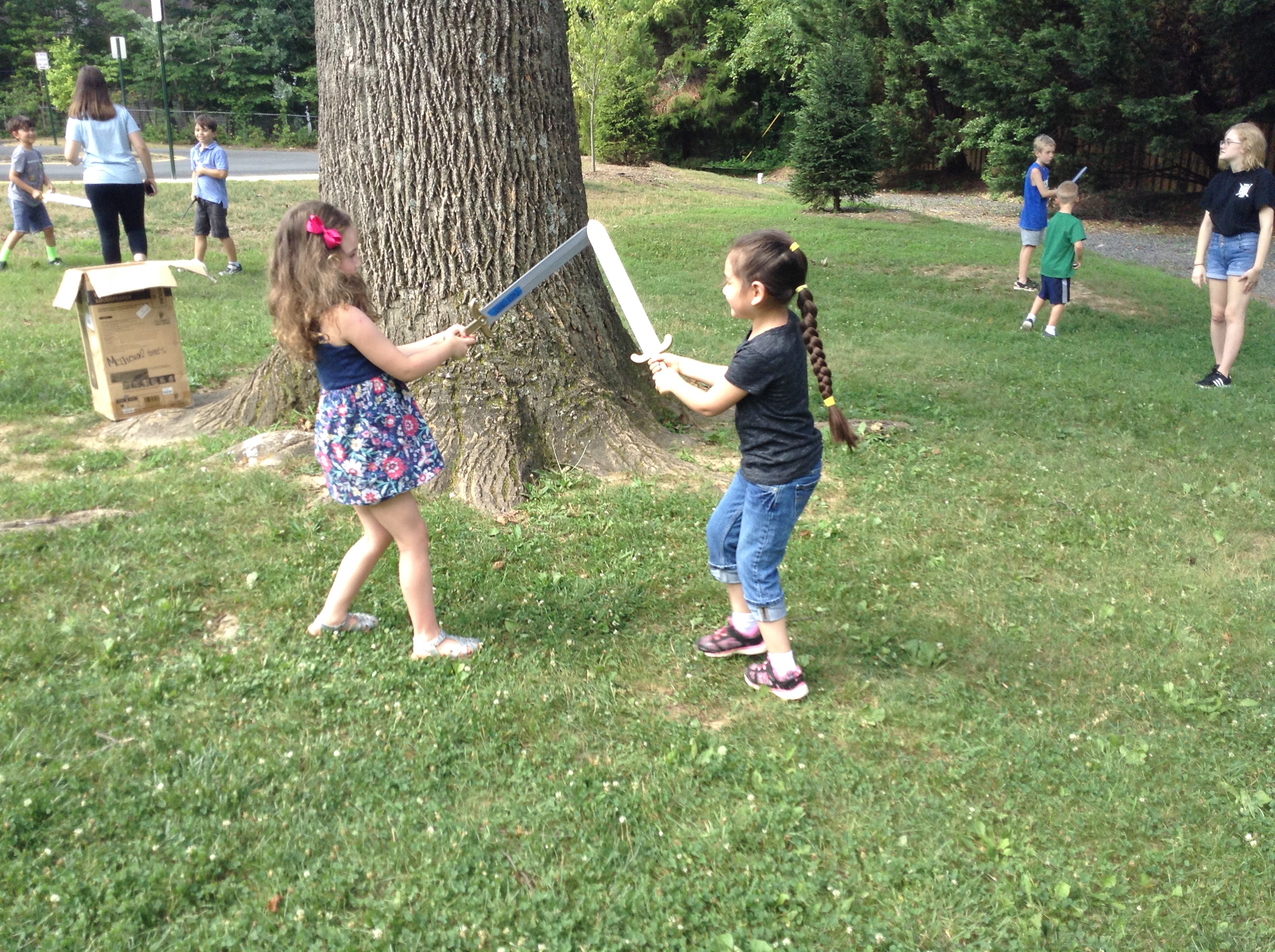 Summer Camp Run By Top Fairfax School Pinecrest School
